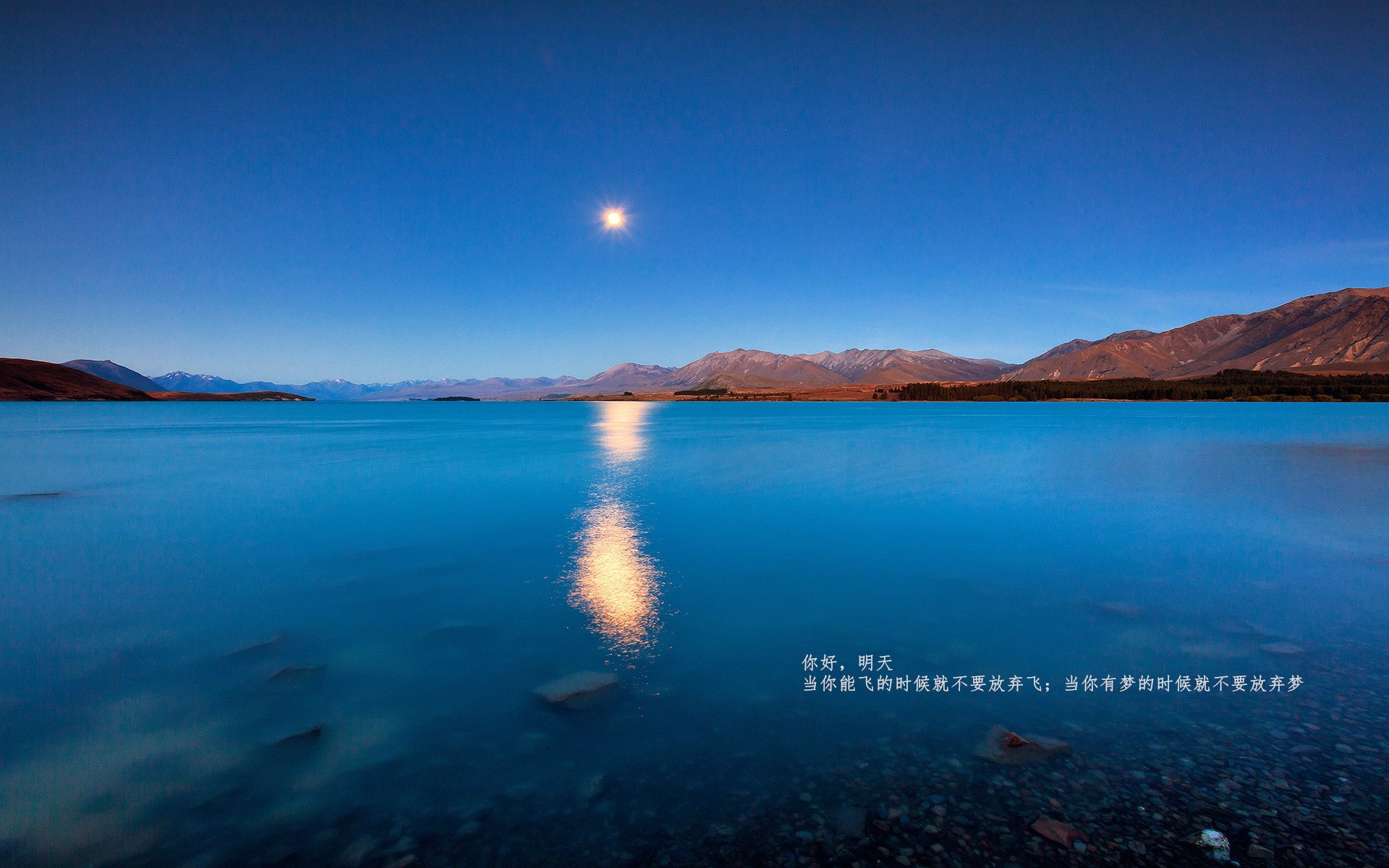 “法甲高水平对抗：场面激烈，惊喜不断”，法甲实力分析