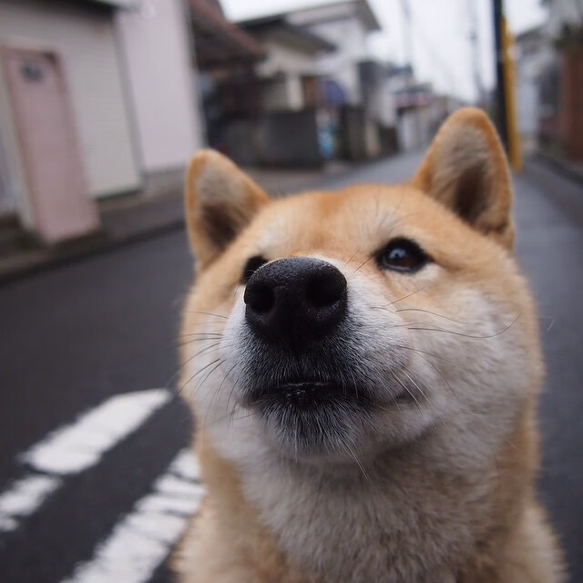 FB体育登录入口-《电子竞技的“软实力”：团队精神与心理素质培养》，电子竞技与团队合作