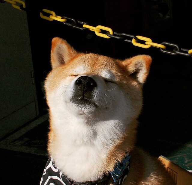 法甲:达拉斯单车队3-0完胜斯特拉斯堡,态势逐步稳定,达拉斯fc