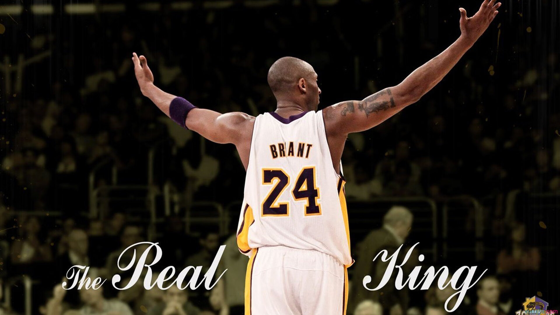 FB体育网站-篮球赛事多平台同步直播观众持续增长，篮球赛事直播软件