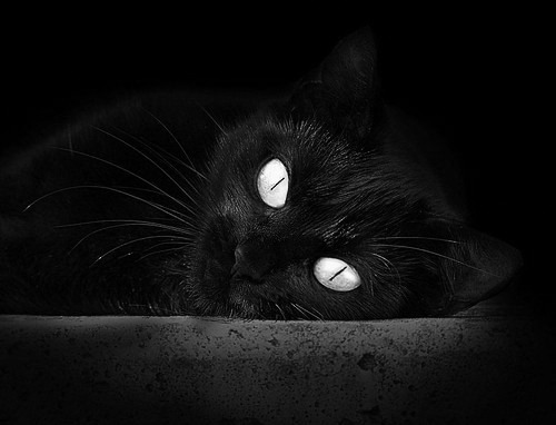 凯撒酋长球员伤愈复出，助力球队冲击冠军，足坛 凯撒