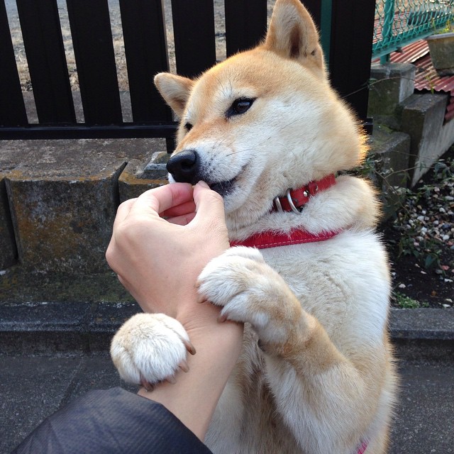 尤文图斯客场胜出,继续保持不败,尤文图斯下场比赛