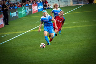 FB体育app下载-中国篮球职业联赛俱乐部财务风险管理，篮球俱乐部财务制度