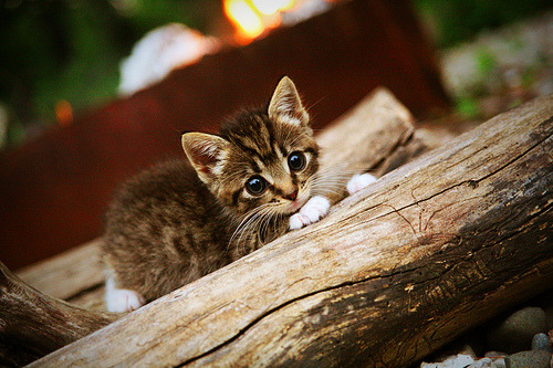 全国青少年趣味跳绳挑战赛激发孩子们的运动激情，趣味跳绳比赛