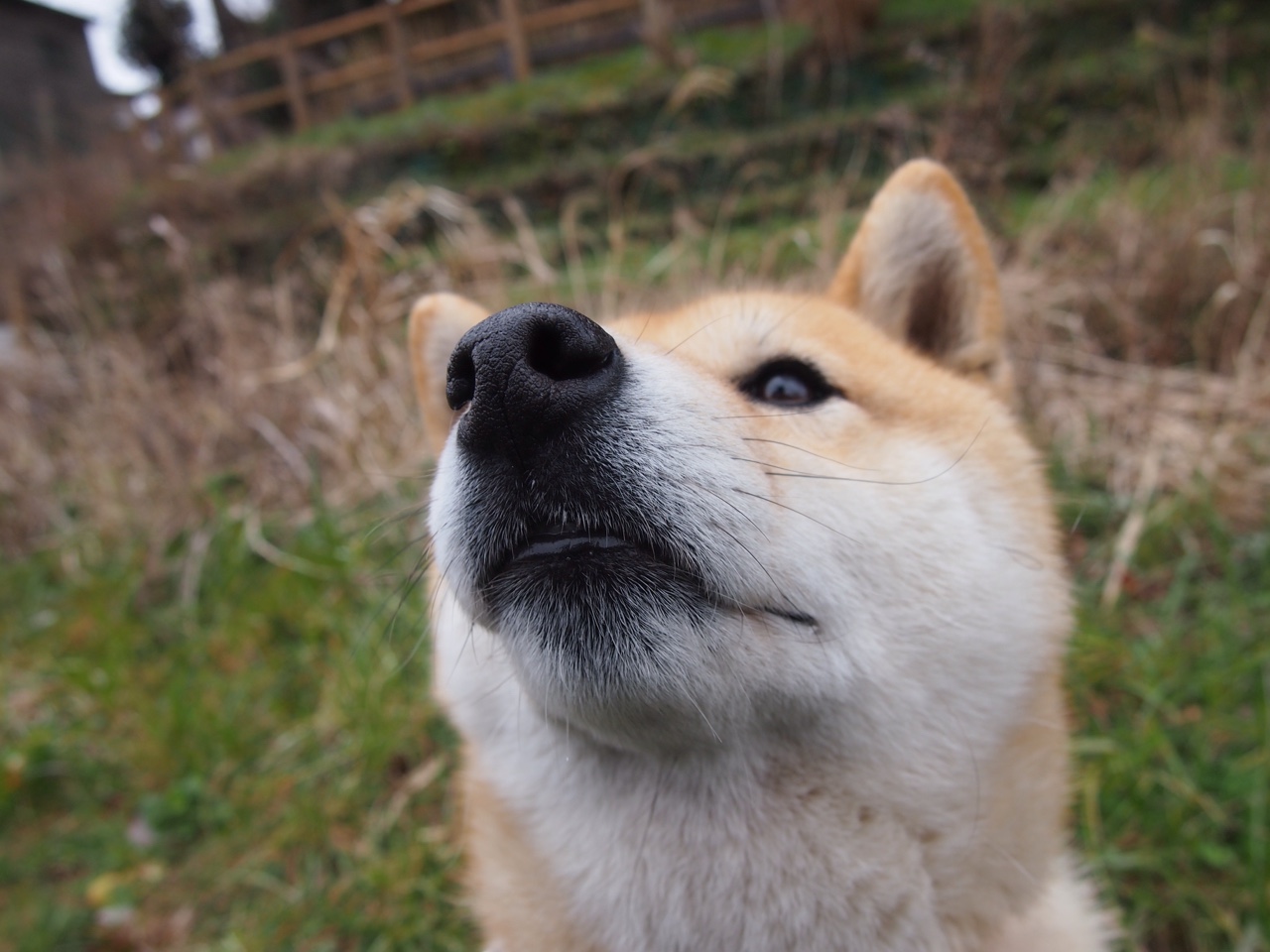 FB体育官网平台-CBA联盟打造俱乐部文化建设样板，cba俱乐部靠什么挣钱