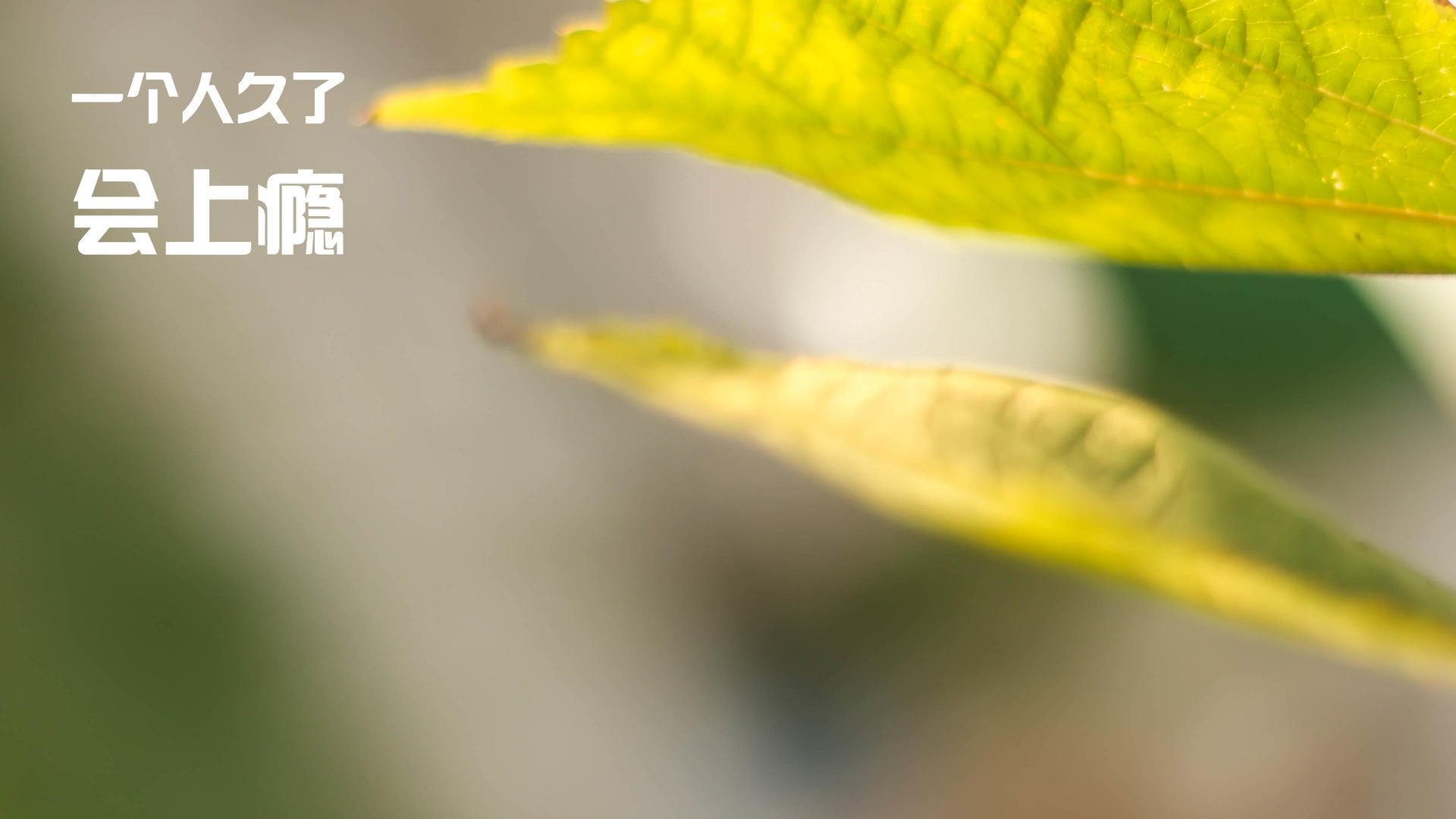 加拿大男子接力队配合日益默契，加拿大400米接力