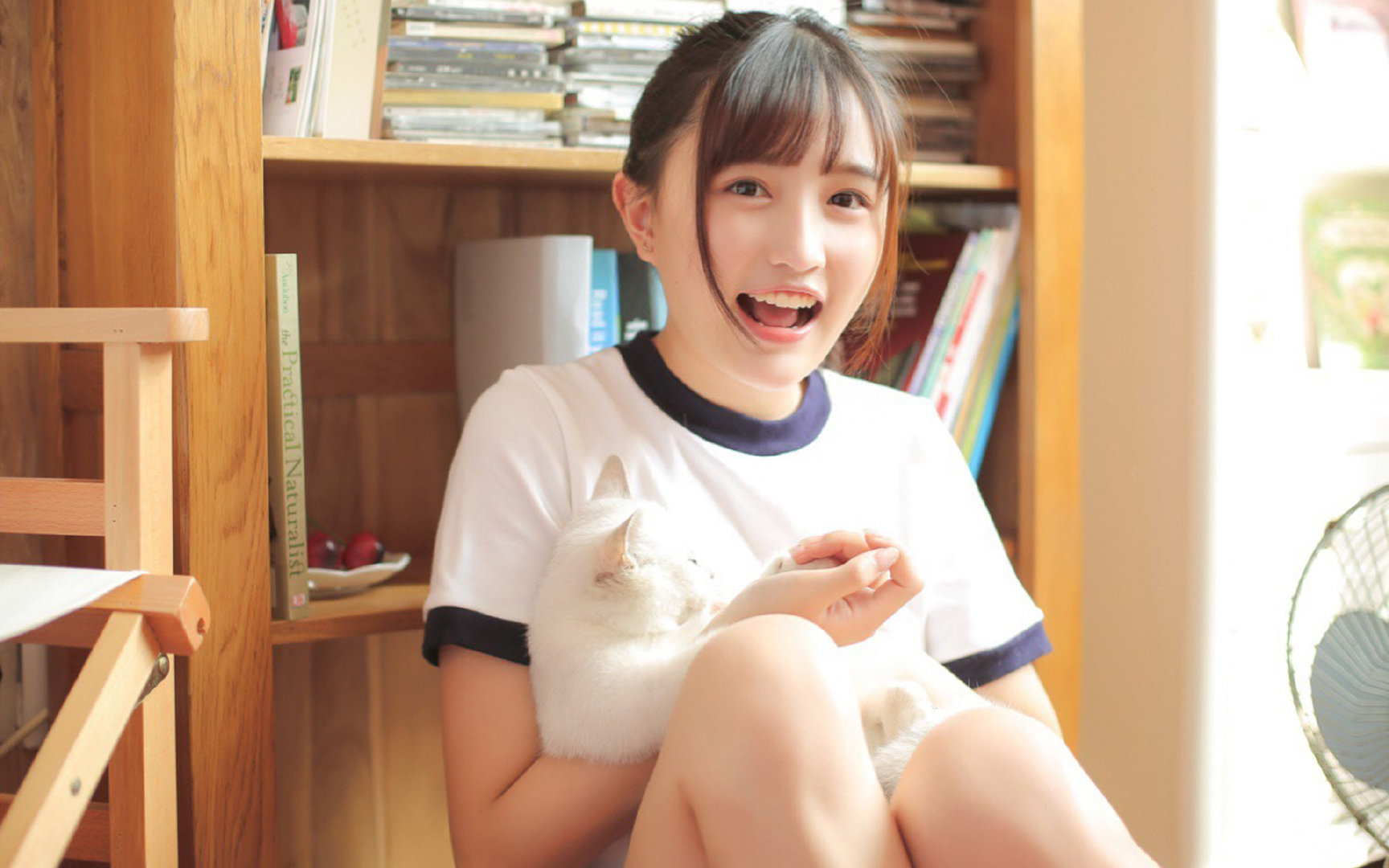 博洛尼亚三线紧凑构建防守屏障，博洛尼亚标准