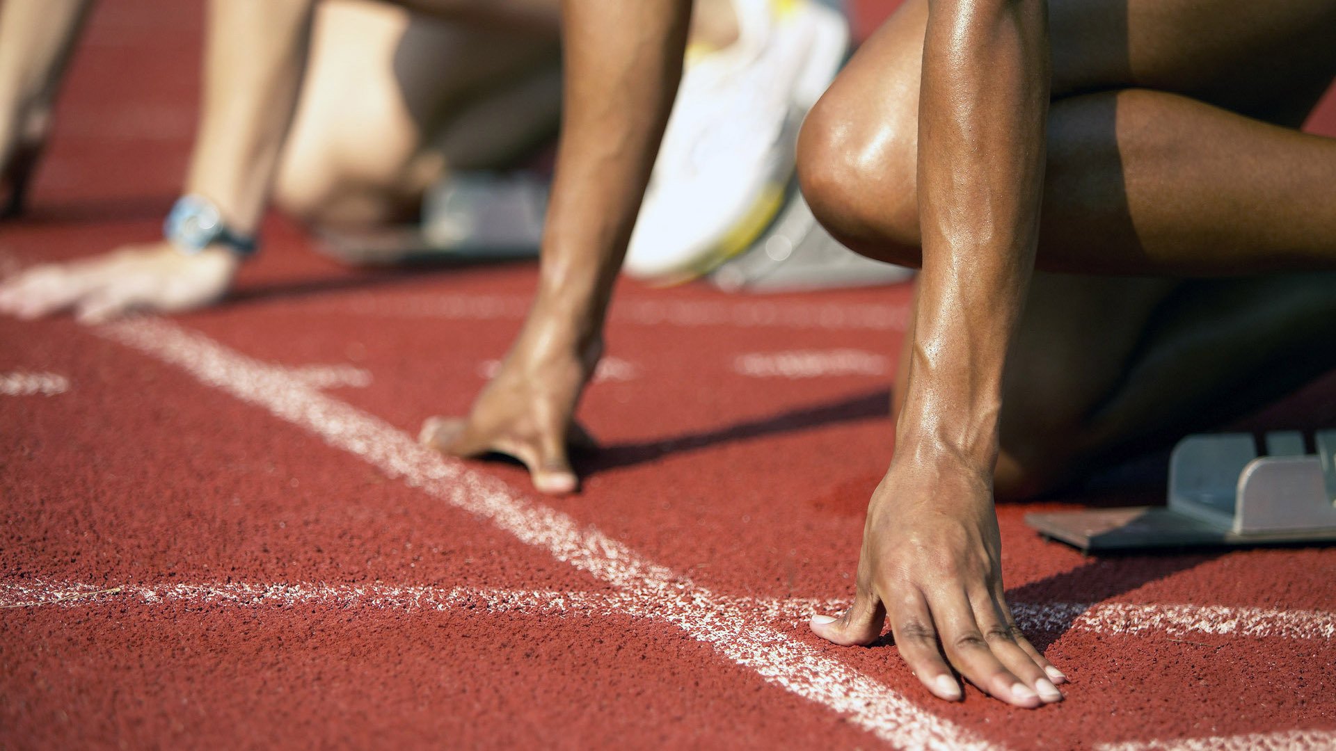 美国马术协会开展马匹福利宣传活动，提升公众意识。，美国马术运动员